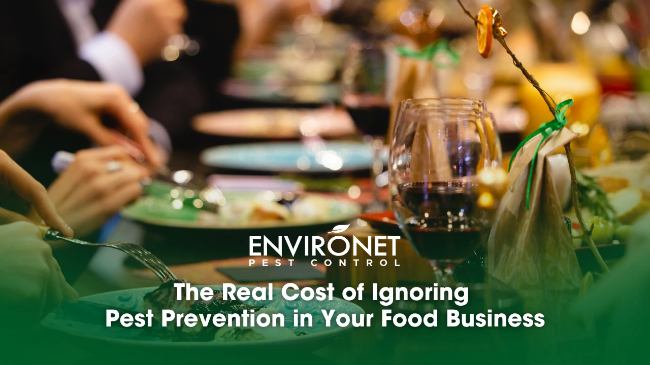 people are dining and eating in a restaurant