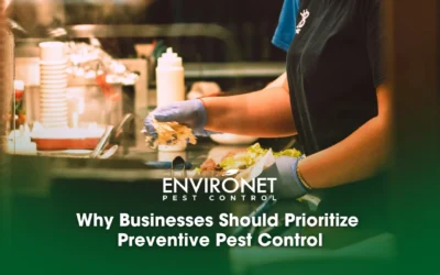 Why Businesses Should Prioritize Preventive Pest Control