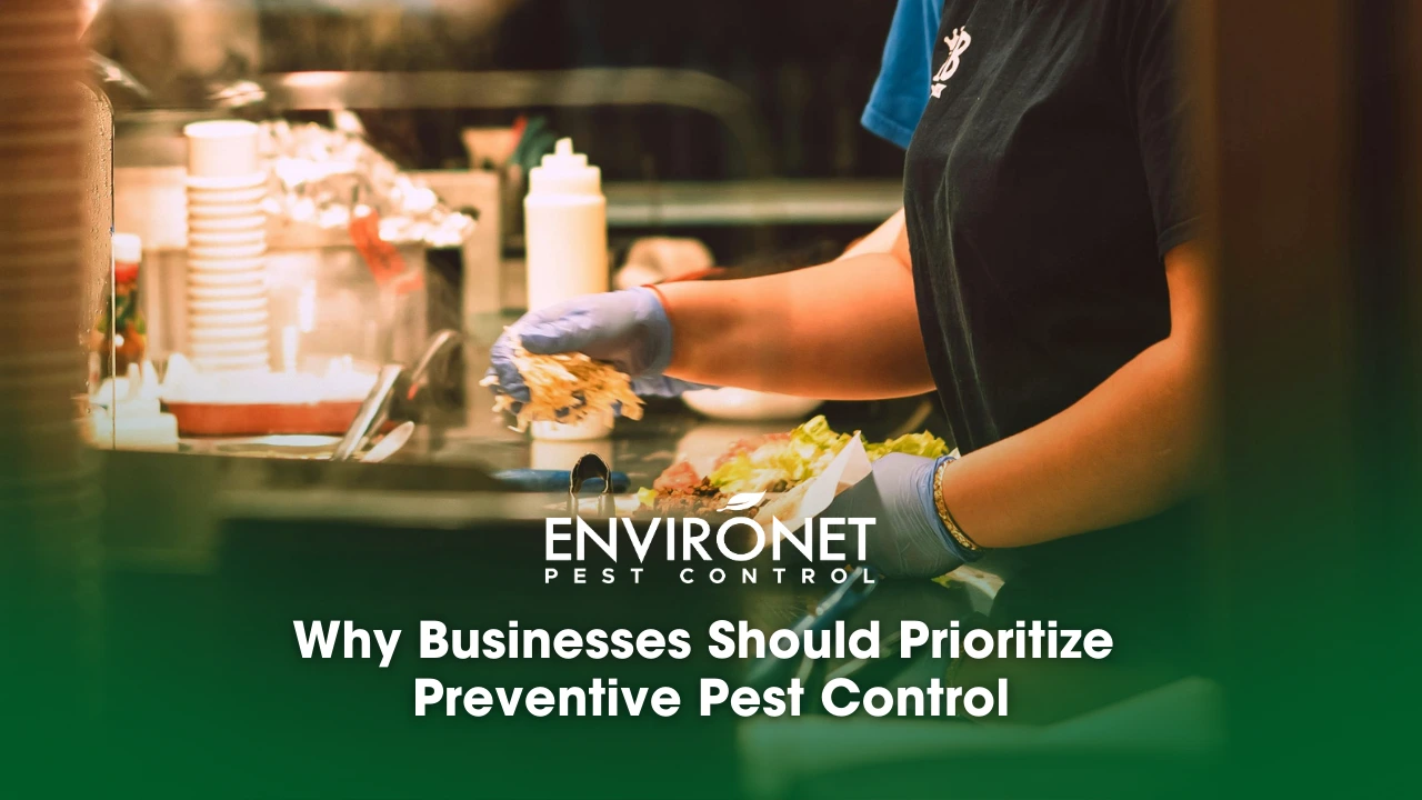 a chef preparing a food