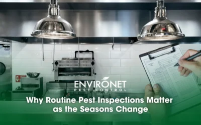 Why Routine Pest Inspections Matter as the Seasons Change