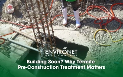 Building Soon? Why Termite Pre-Construction Treatment Matters