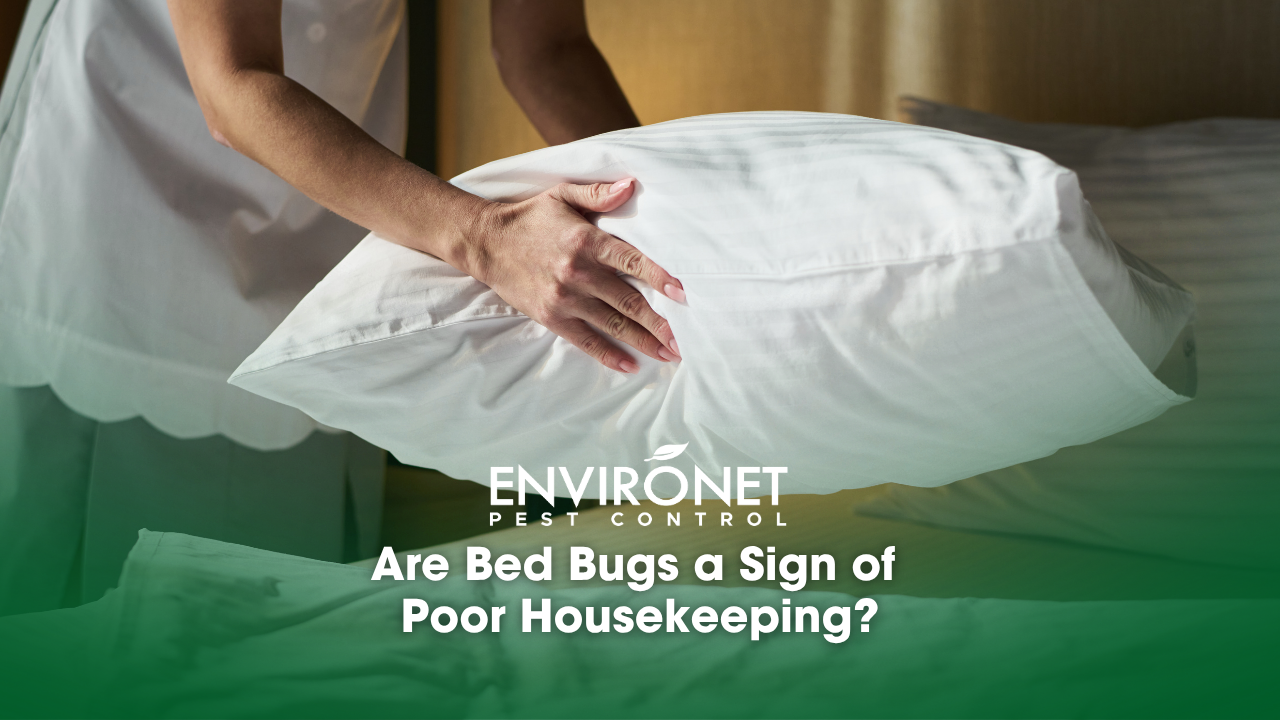 a housekeeper cleaning and making bed
