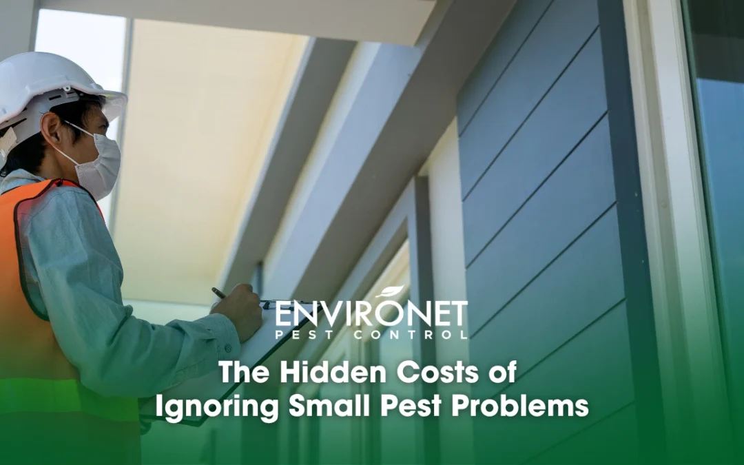 The Hidden Costs of Ignoring Small Pest Problems