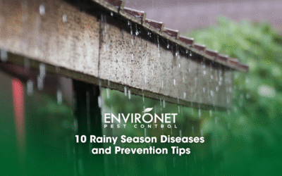 10 Rainy Season Diseases and Prevention Tips