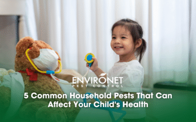 5 Common Household Pests That Can Affect Your Child’s Health