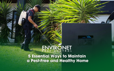 5 Essential Ways to Maintain a Pest-Free and Healthy Home