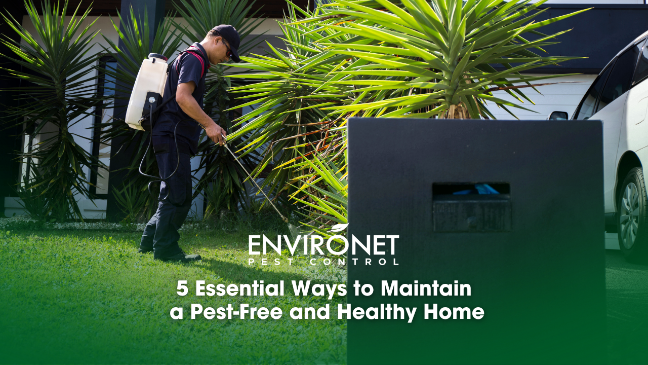 A pest control technician sprays the perimeter, promoting a healthy and pest-free living environment.