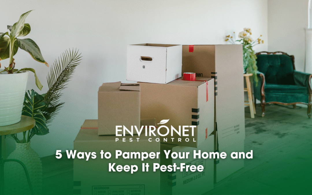 5 Ways to Pamper Your Home and Keep It Pest-Free