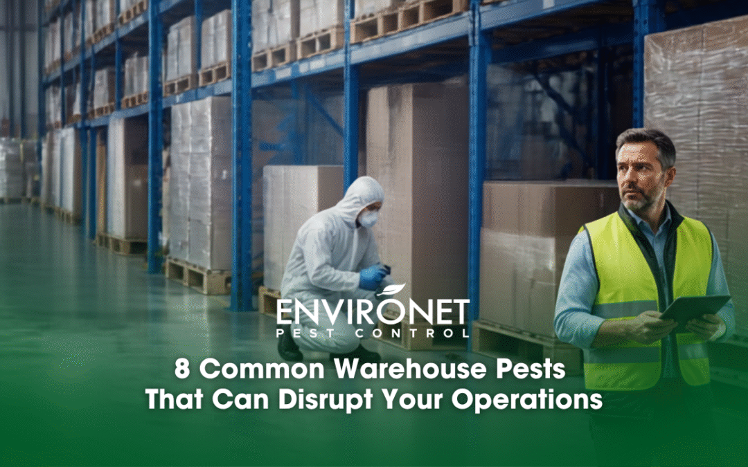 8 Common Warehouse Pests That Can Disrupt Your Operations