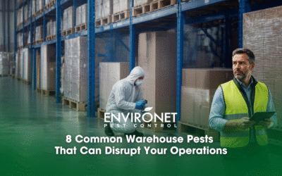 8 Common Warehouse Pests That Can Disrupt Your Operations