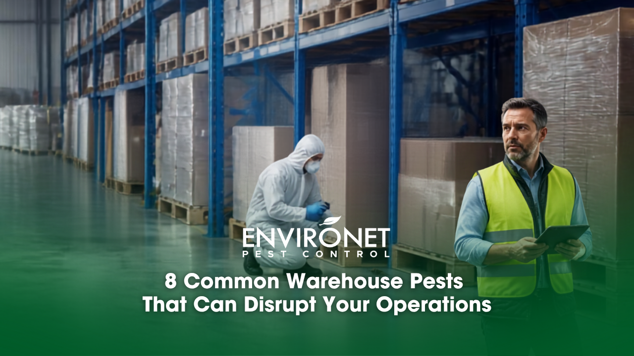 Warehouse manager inspecting a clean warehouse while a pest control technician checks for rodent and insect activity.