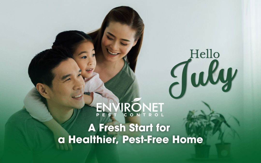 Hello, July: A Fresh Start for a Healthier, Pest-Free Home
