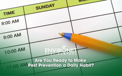 Are You Ready to Make Pest Prevention a Daily Habit?