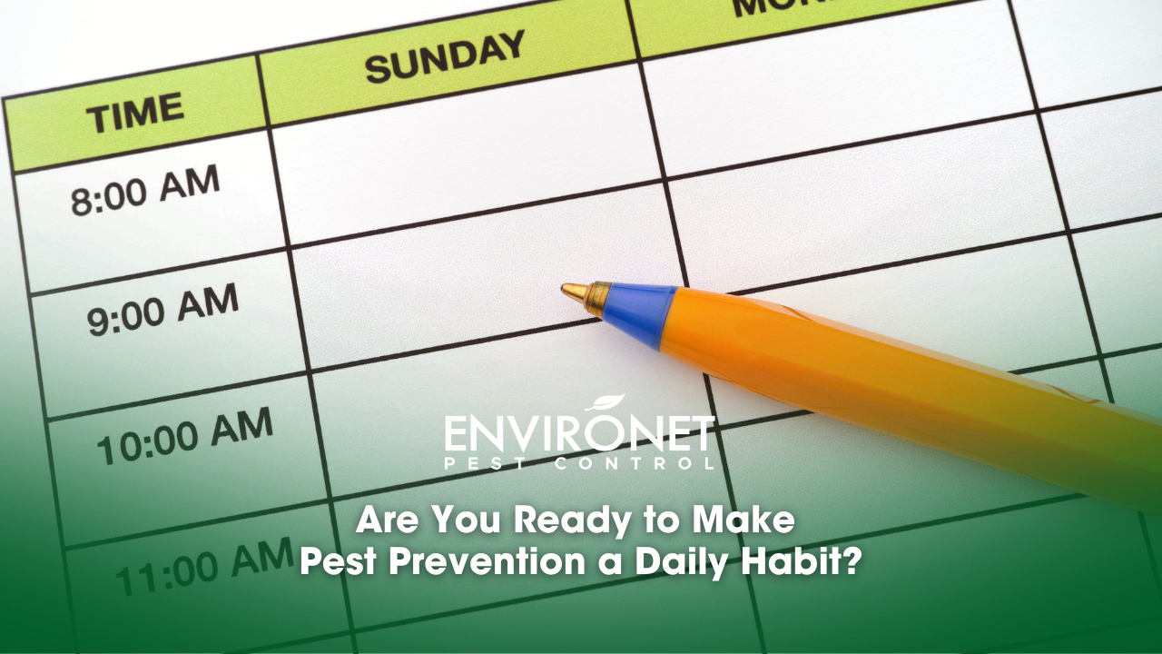 A pen positioned on a weekly planner, highlighting the significance of making pest prevention a daily routine.