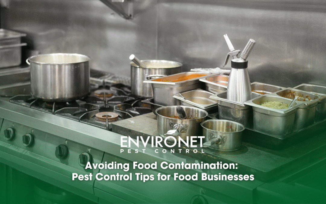 Avoiding Food Contamination: Pest Control Tips for Food Businesses