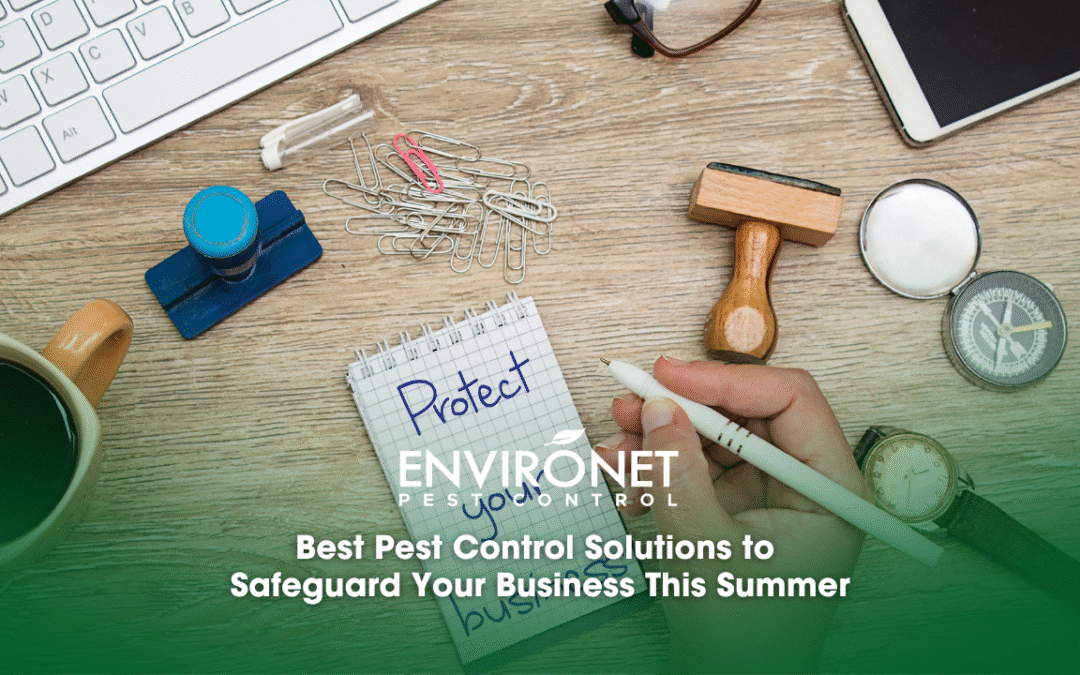 Best Pest Control Solutions to Safeguard Your Business This Summer