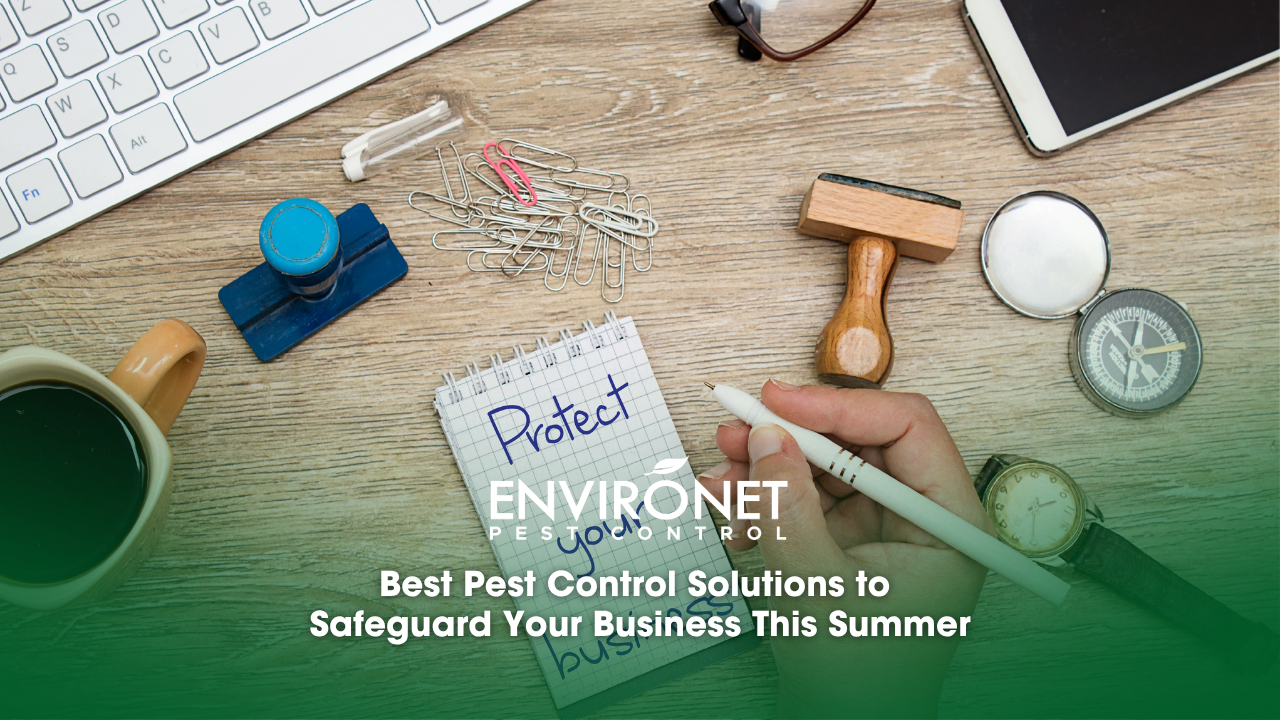 Image for safeguarding businesses not just against cyber attacks, but emphasizing more on protection and pest control solutions.
