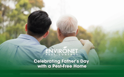 Celebrating Father’s Day with a Pest-Free Home