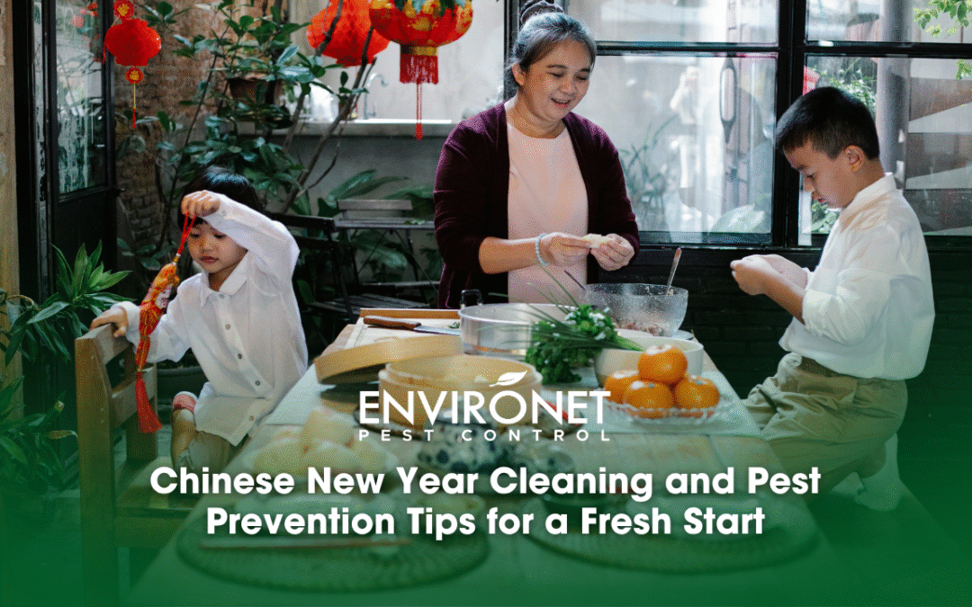 Chinese New Year Cleaning and Pest Prevention Tips for a Fresh Start