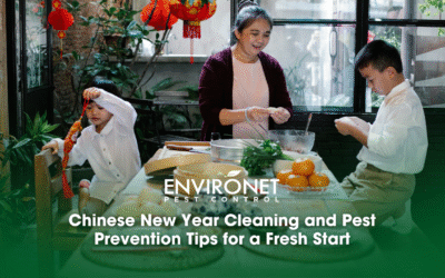 Chinese New Year Cleaning and Pest Prevention Tips for a Fresh Start
