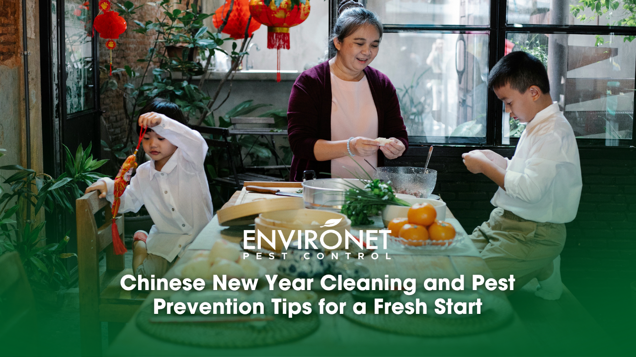 A woman and two children enjoy a meal together at a table, celebrating the spirit of Chinese New Year with festive food.