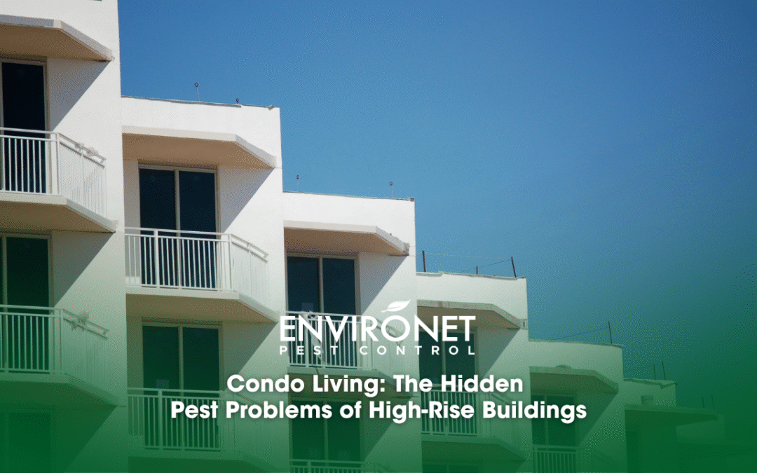 Condo Living: The Hidden Pest Problems of High-Rise Buildings