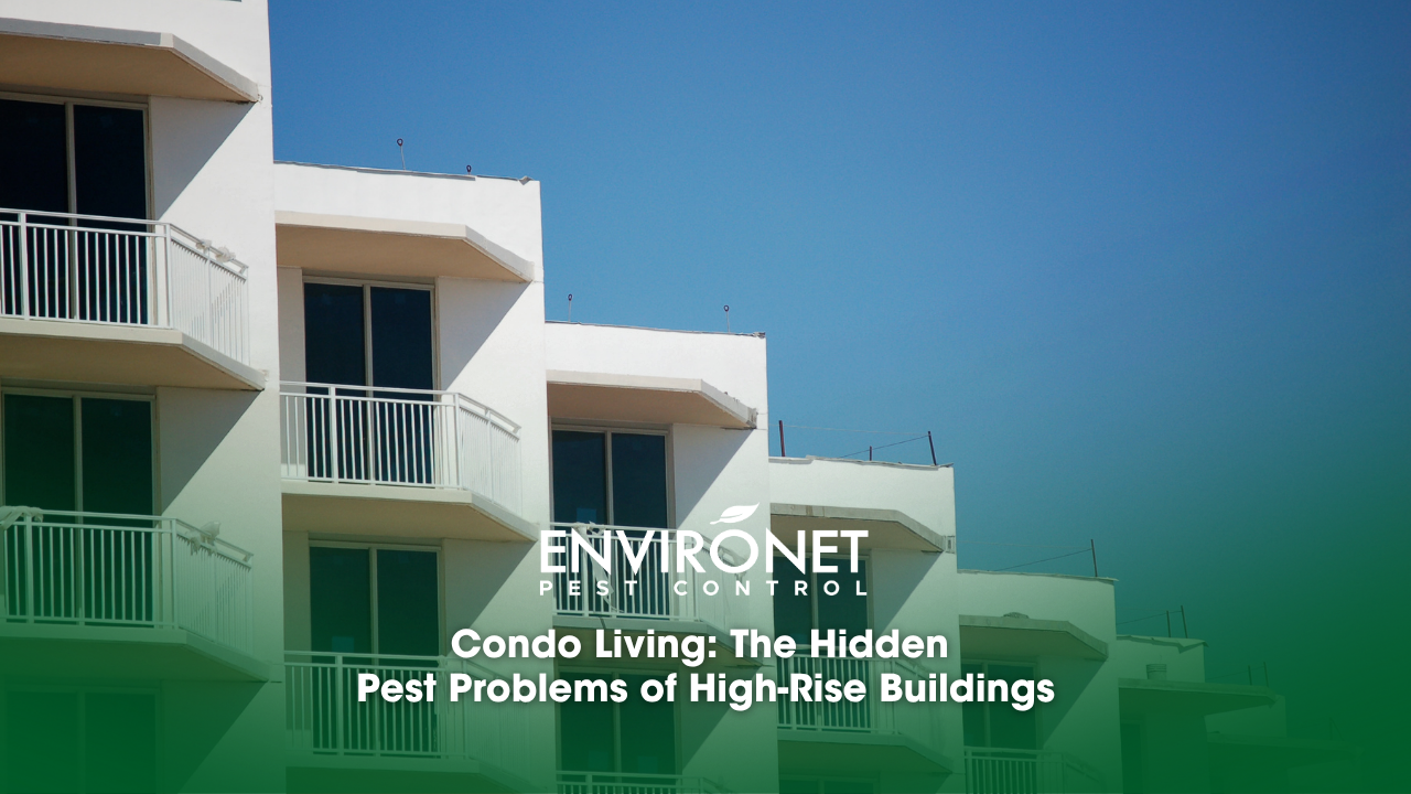White balconies line the facade of a high-rise building, illustrating the contemporary style of urban condo living, where residents must stay vigilant against pest problems.