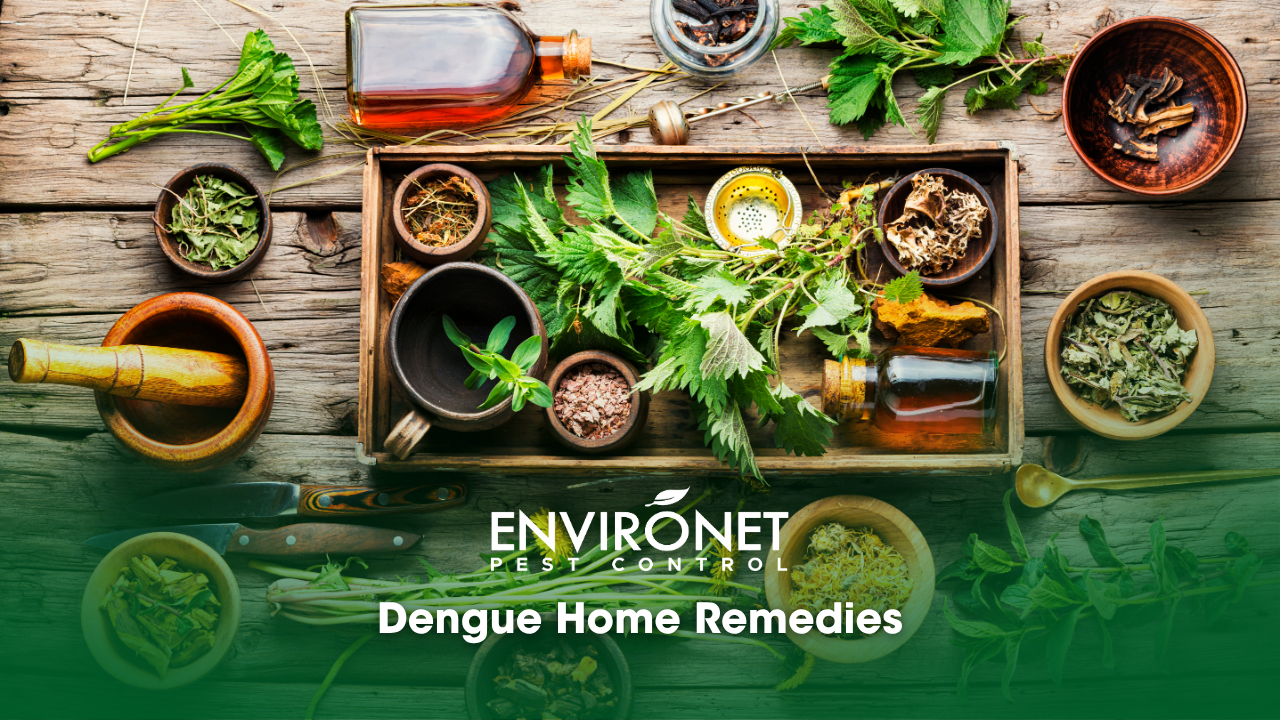 home remedies