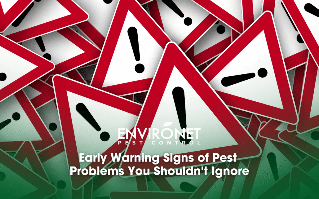Early Warning Signs of Pest Problems You Shouldn’t Ignore