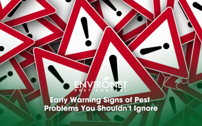 Early Warning Signs of Pest Problems You Shouldn’t Ignore
