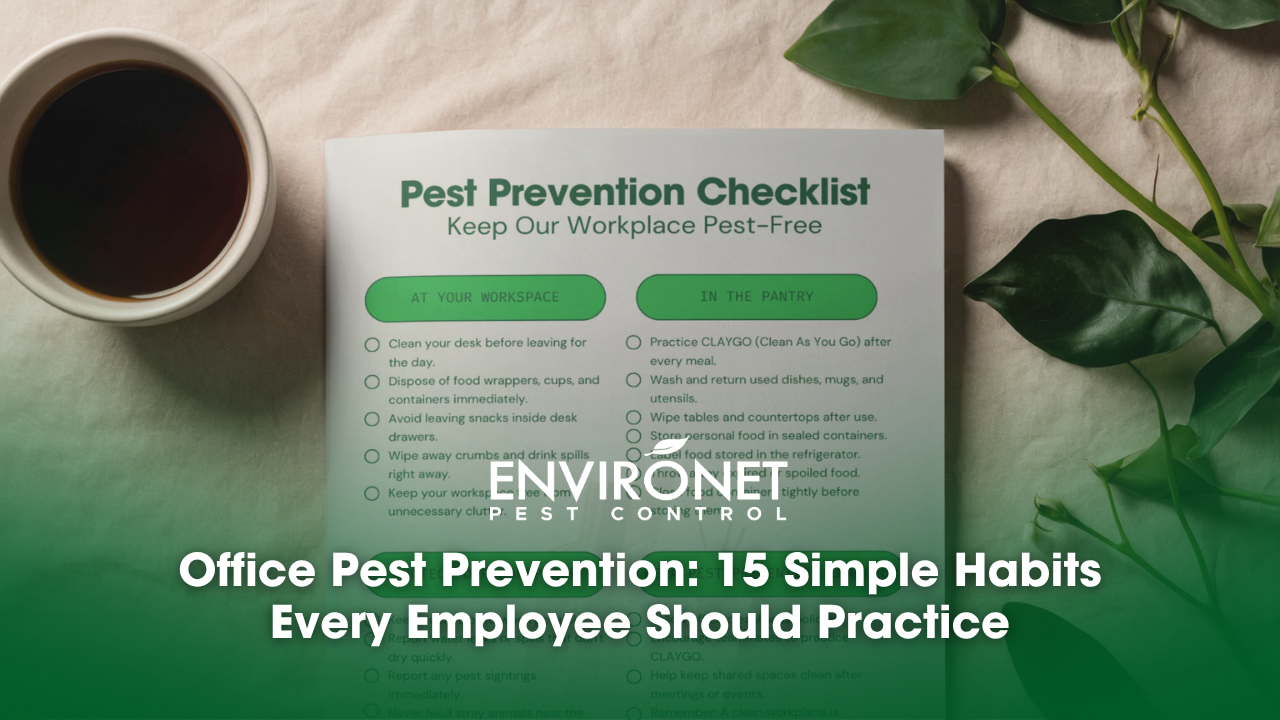 A table with coffee and office pest prevention checklist