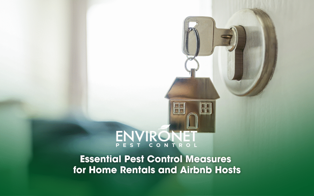 Essential Pest Control Measures for Home Rentals and Airbnb Hosts