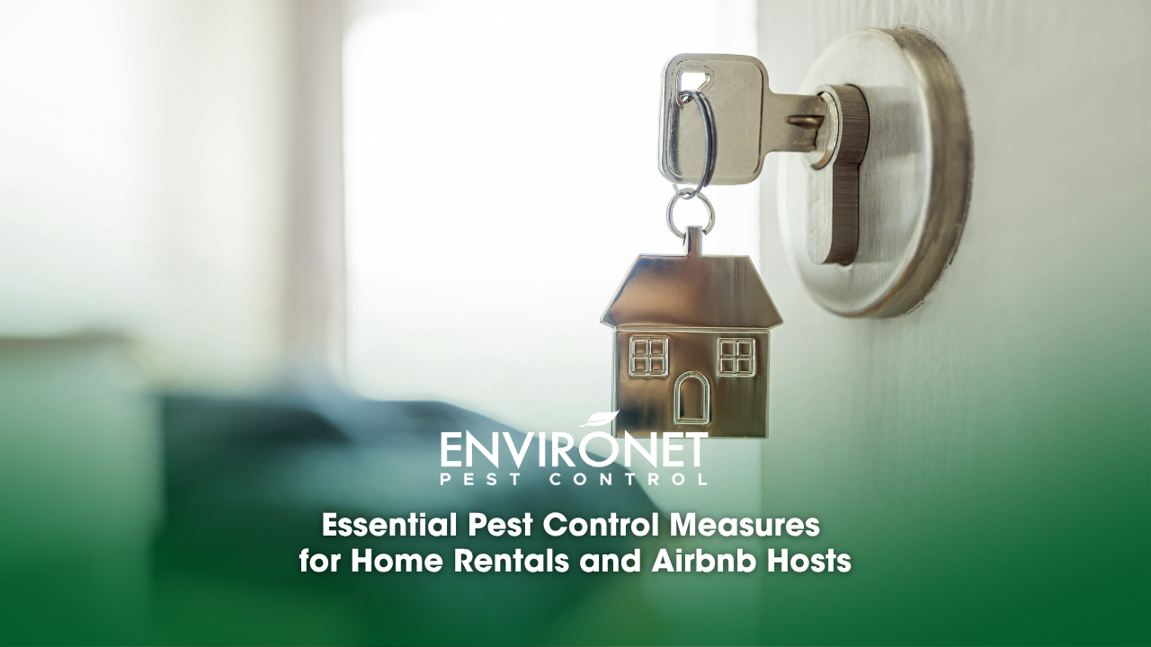 A close-up of a house key on a door handle, representing home rentals and pest control measures for Airbnb accommodations.