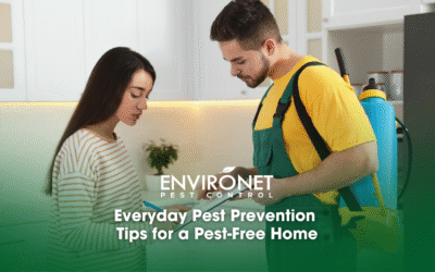 Everyday Pest Prevention Tips for a Pest-Free Home