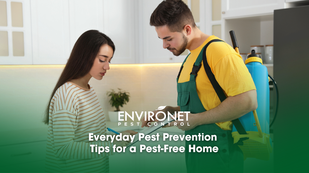 The pest control technician is sharing information and tips with the client