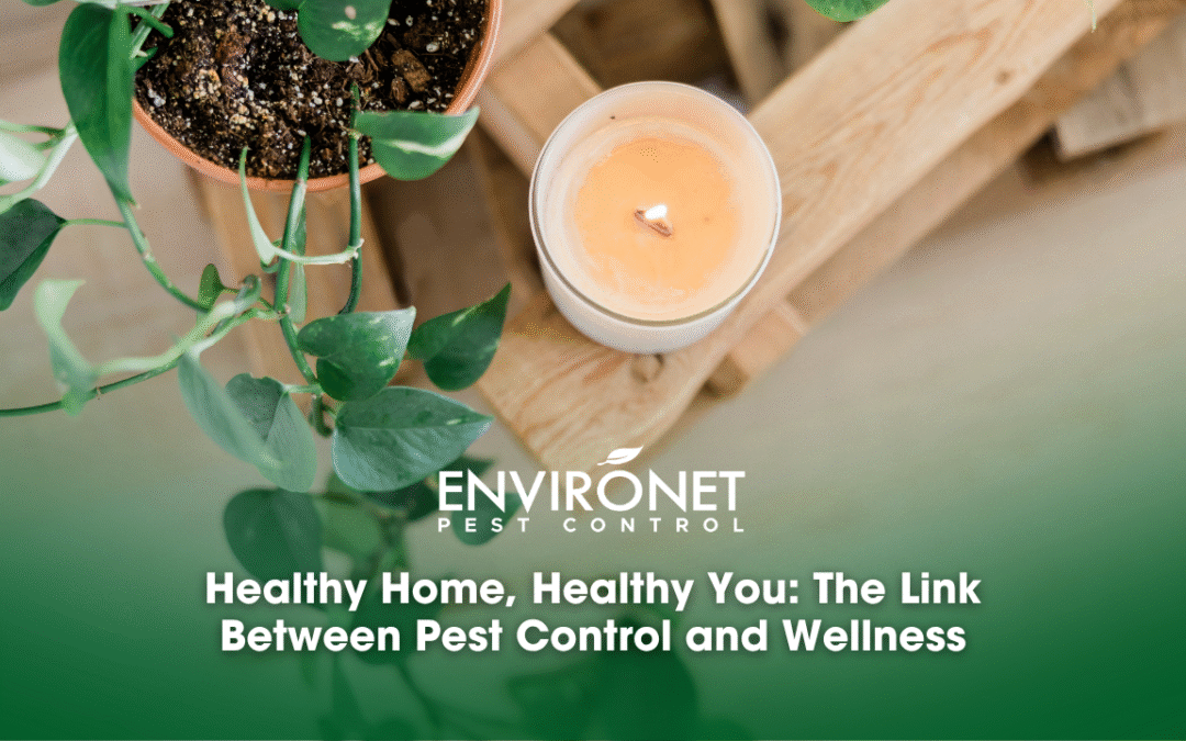 Healthy Home, Healthy You: The Link Between Pest Control and Wellness