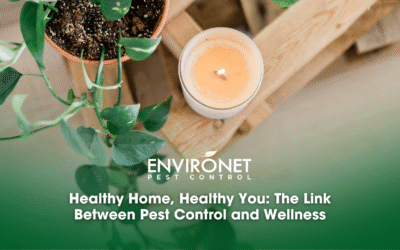 Healthy Home, Healthy You: The Link Between Pest Control and Wellness