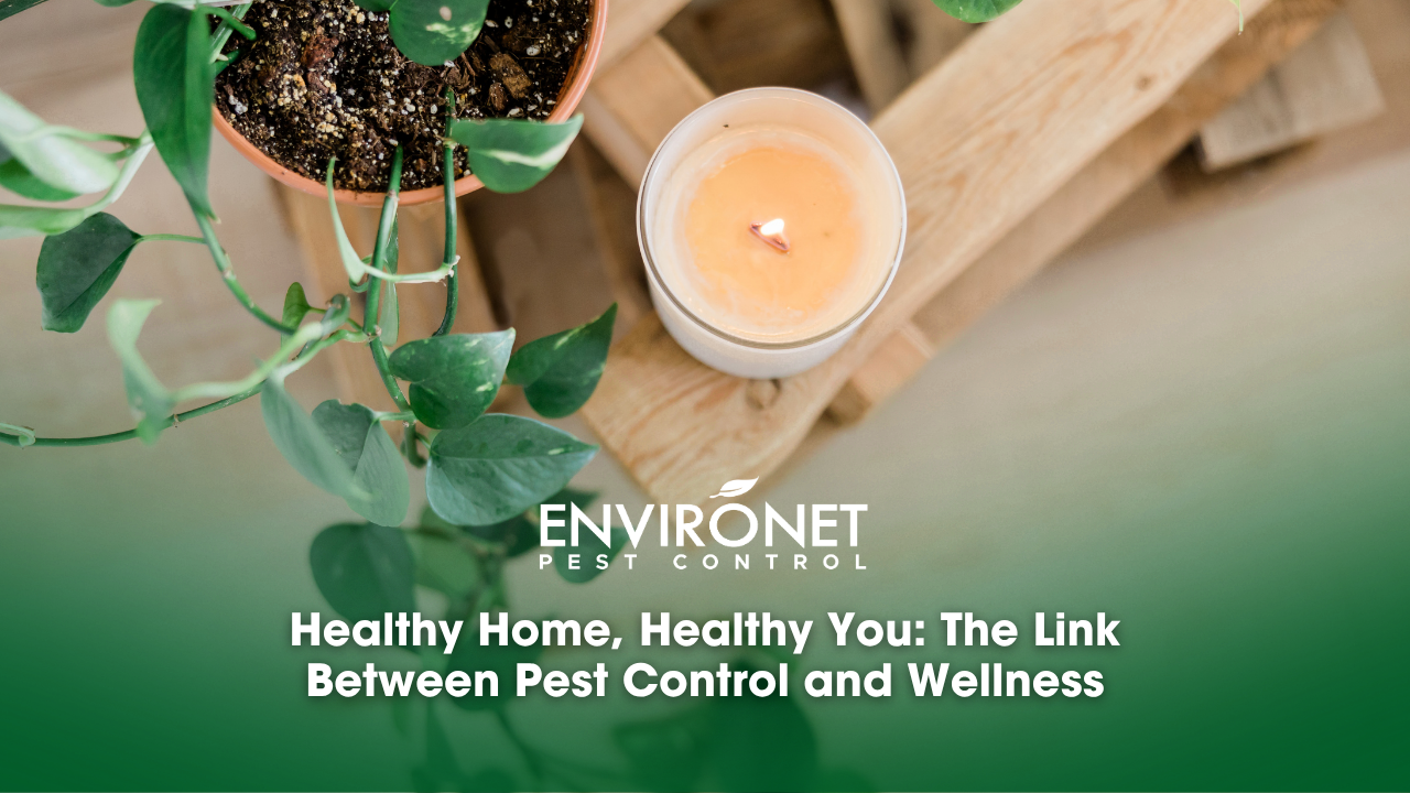 A serene wooden table featuring a candle and a plant, representing the connection between pest control and well-being.