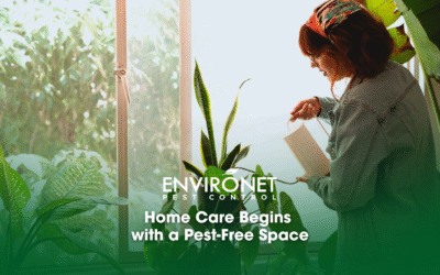 Home Care Begins with a Pest-Free Space