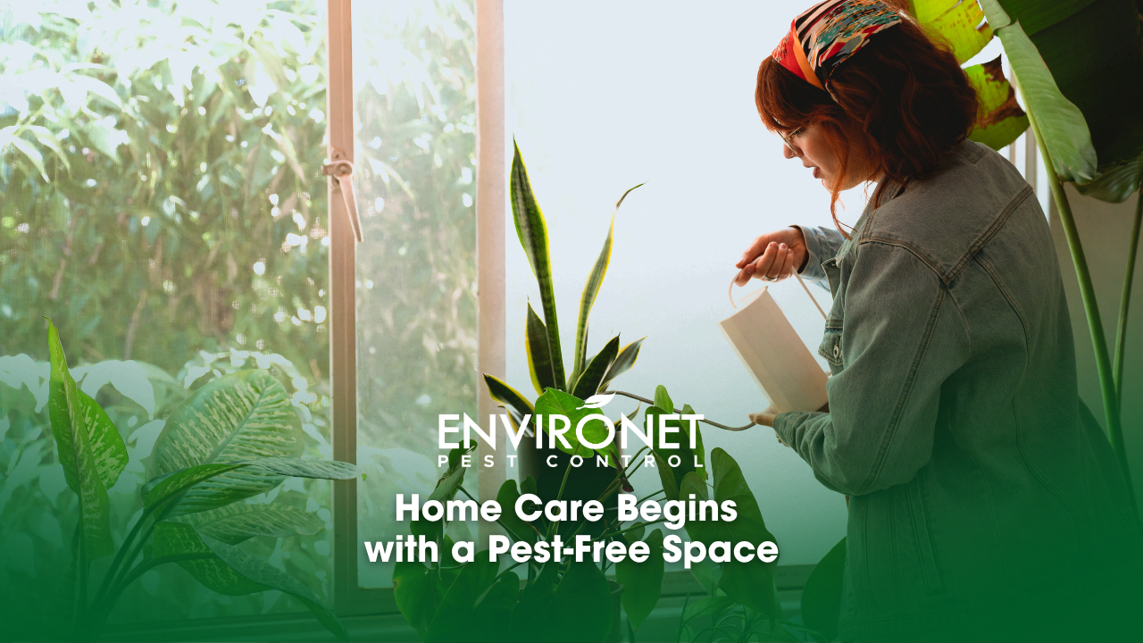 A woman examines a book in a window, enjoying a pest-free and comfortable home care environment.