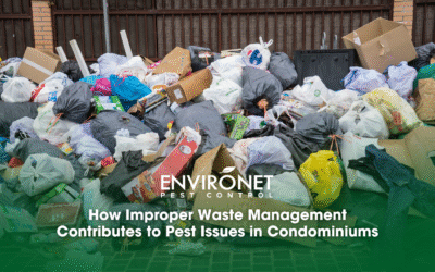 How Improper Waste Management Attracts Pests in Condos