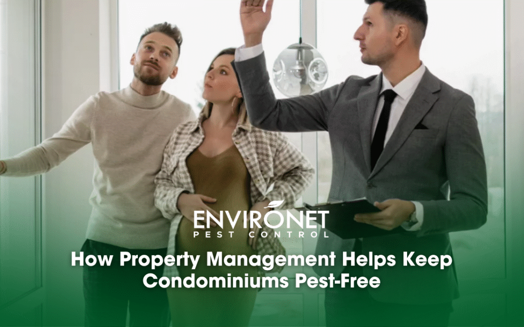 How Property Management Helps Keep Condominiums Pest-Free