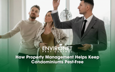 How Property Management Helps Keep Condominiums Pest-Free