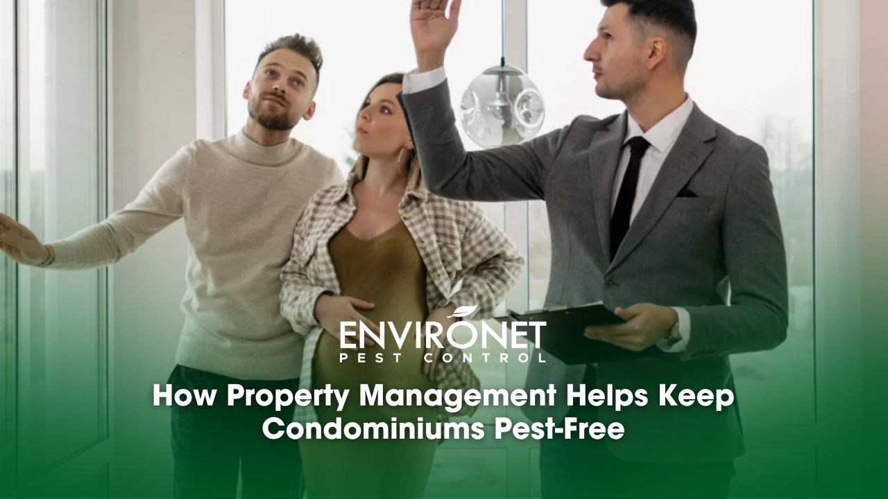 Property management showing tenants the unit and building.