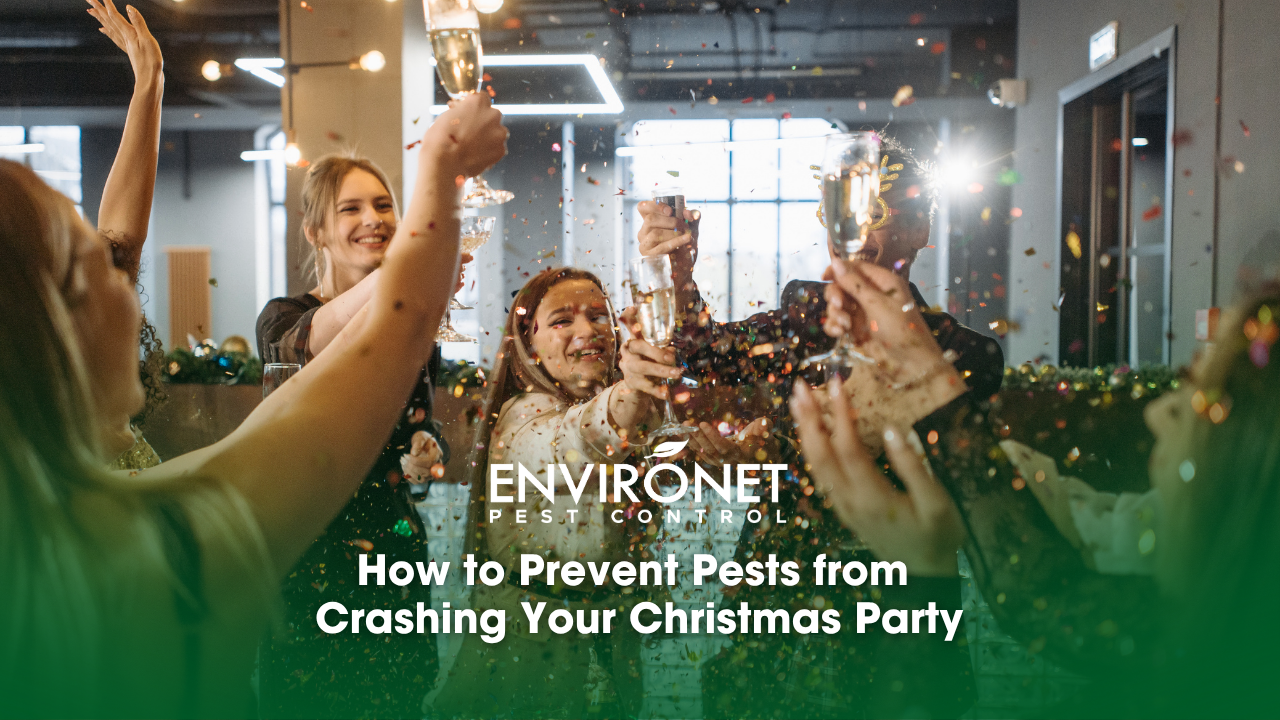 Christmas party at the office