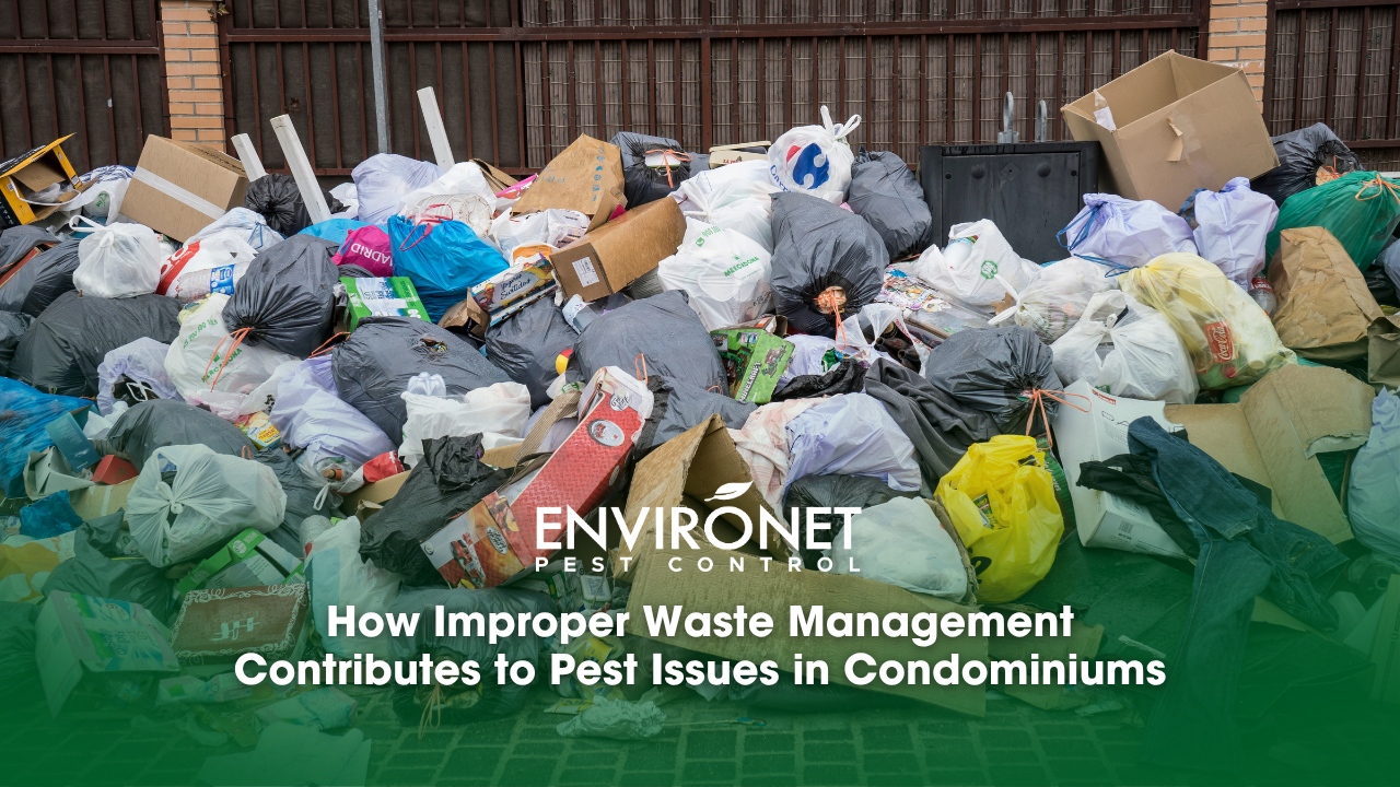 Waste management in Developing Countries