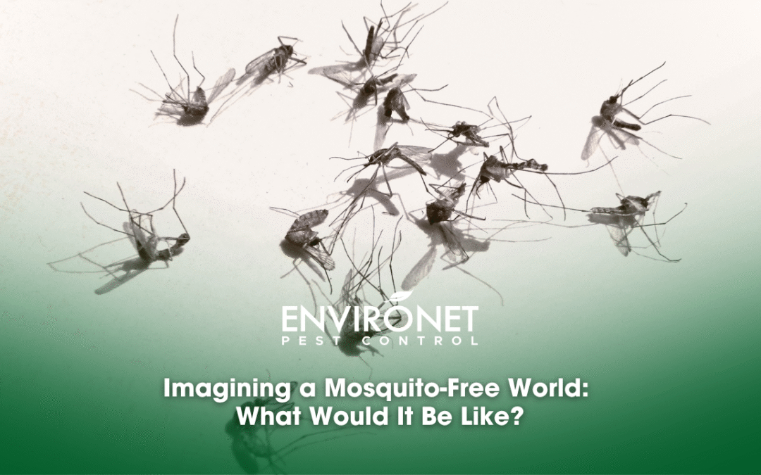 Imagining a Mosquito-Free World: What Would It Be Like?