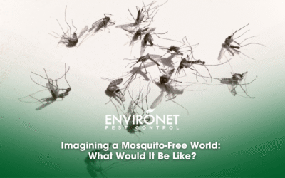 Imagining a Mosquito-Free World: What Would It Be Like?