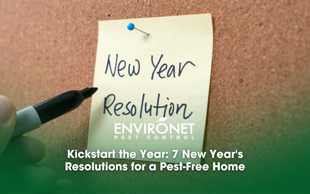 Kickstart the Year: 7 New Year’s Resolutions for a Pest-Free Home