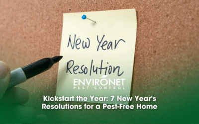 Kickstart the Year: 7 New Year’s Resolutions for a Pest-Free Home